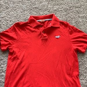 Hollister polo